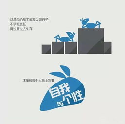 一張圖看懂北京單位綠化服務(wù) 好單位與爛單位的鮮明對(duì)比